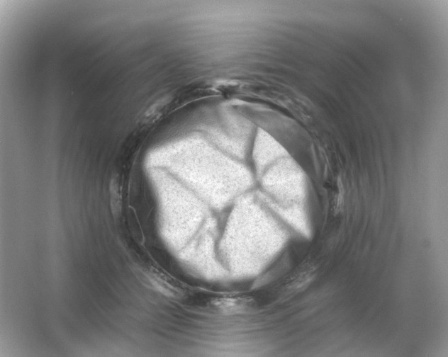 X0000065980558200603241942