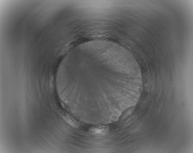 X0000065980563200603241942