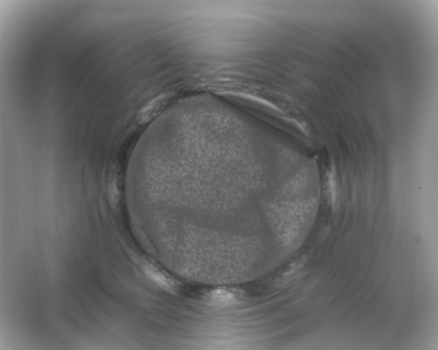 X0000065980566200603241942