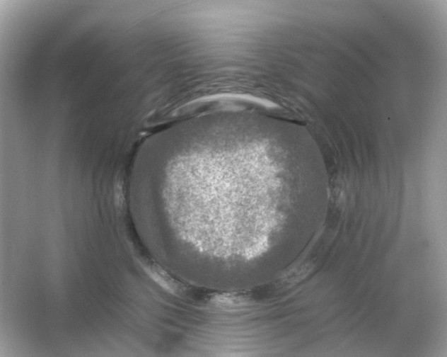 X0000065980568200603241942