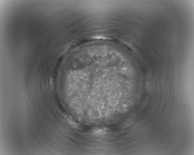 X0000065980569200603241942