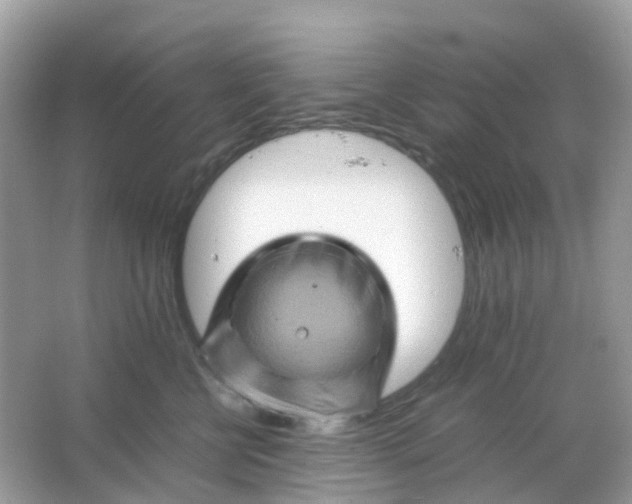 X0000065980570200603241942