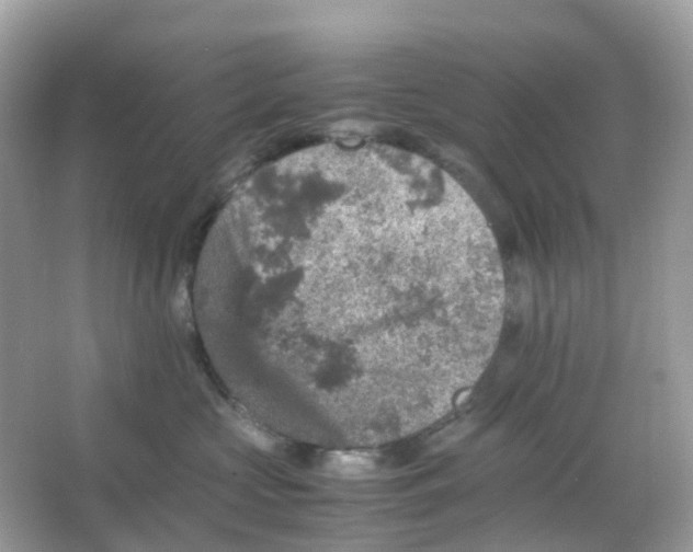 X0000065980573200603241942