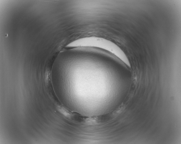 X0000065980574200603241942