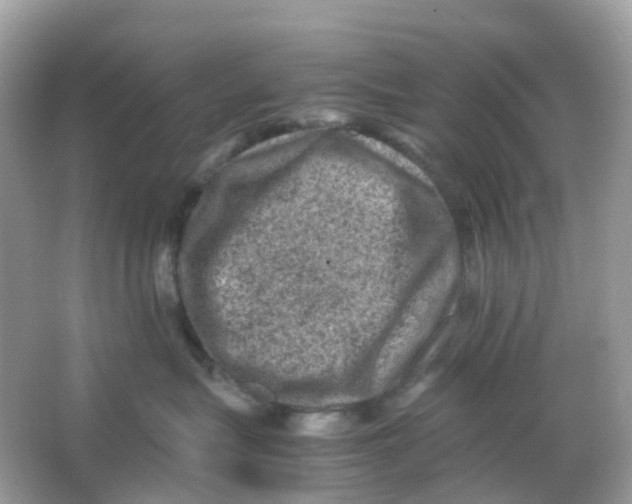 X0000065980575200603241942