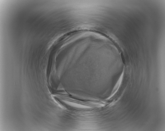 X0000065980577200603241942