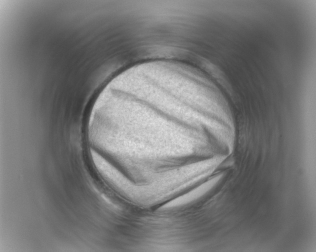 X0000065980578200603241942