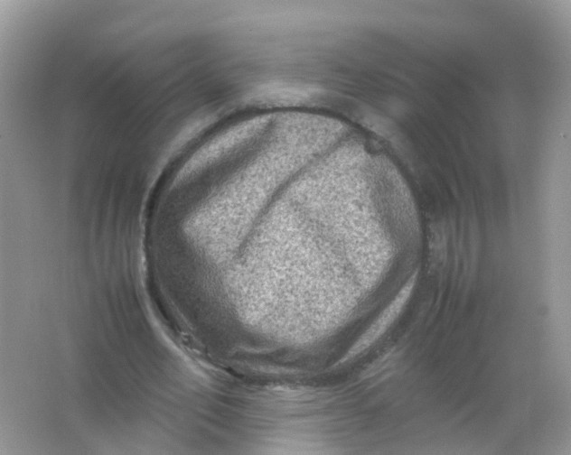 X0000065980582200603241942