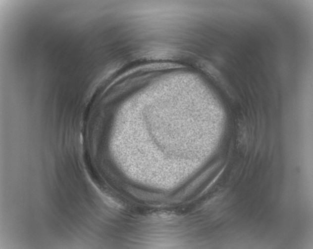 X0000065980586200603241942