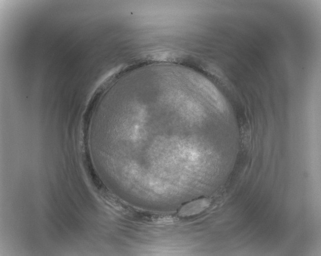 X0000065980587200603241942