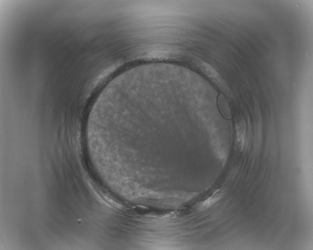 X0000065980588200603241941