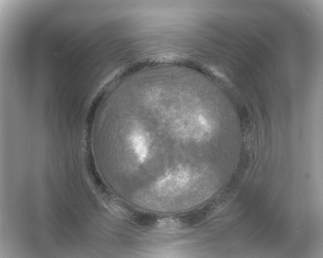 X0000065980591200603241941