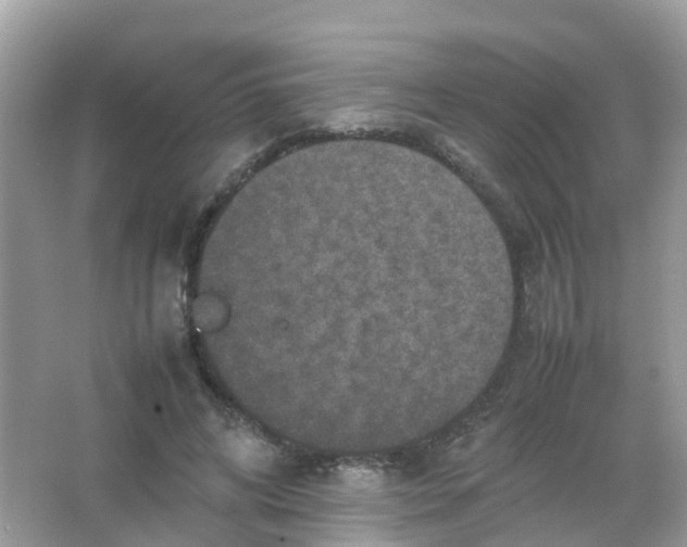 X0000065980592200603241941