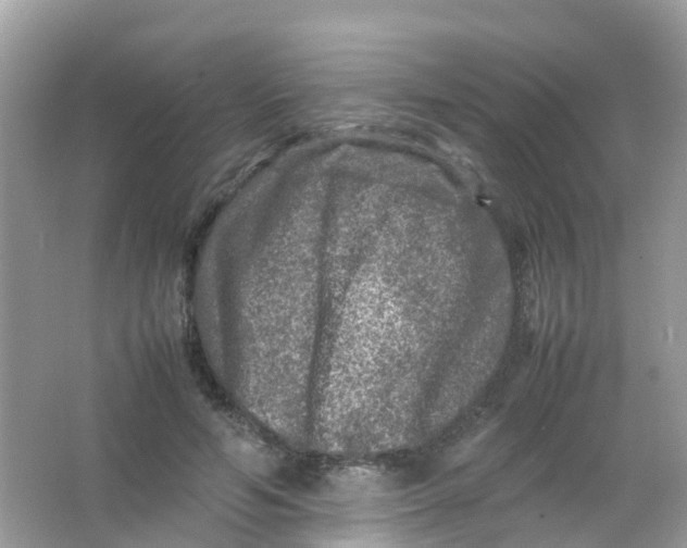 X0000065980594200603241941