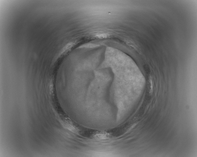 X0000065980595200603241941