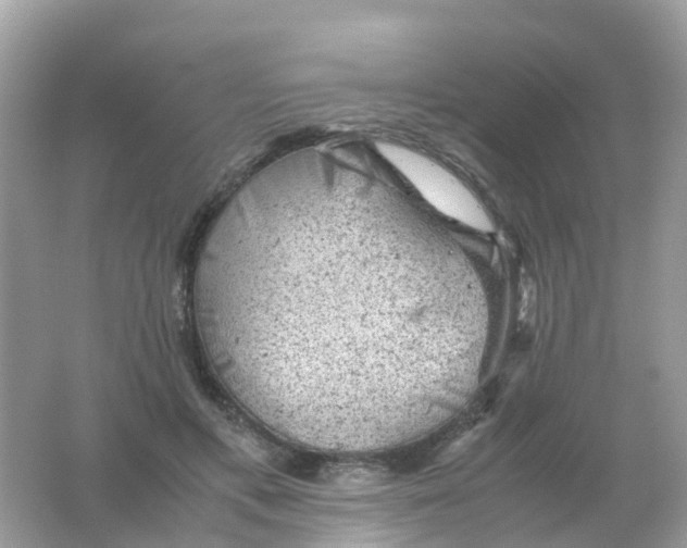 X0000065980597200603241941