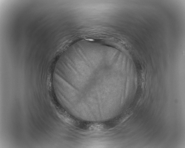 X0000065980599200603241941