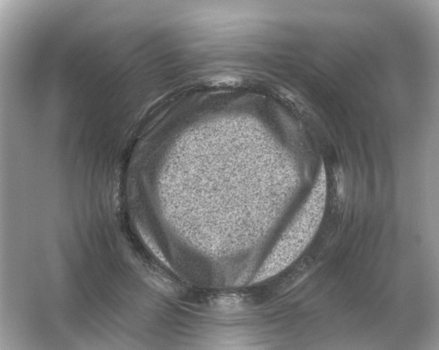 X0000065980600200603241941