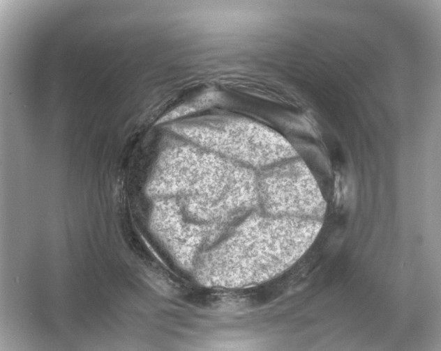 X0000065980601200603241941