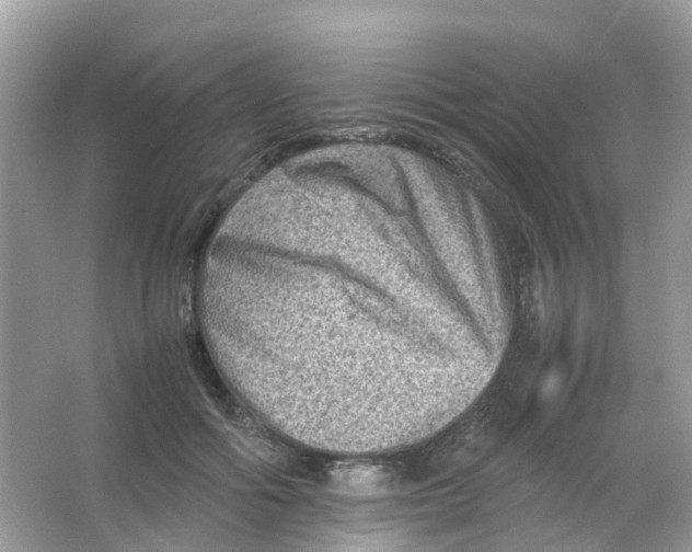 X0000065980602200603241941