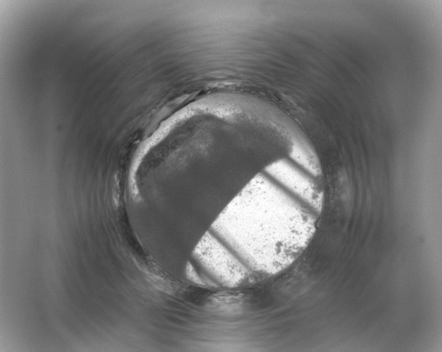 X0000065980606200603241941