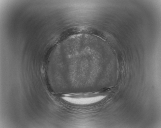 X0000065980607200603241941