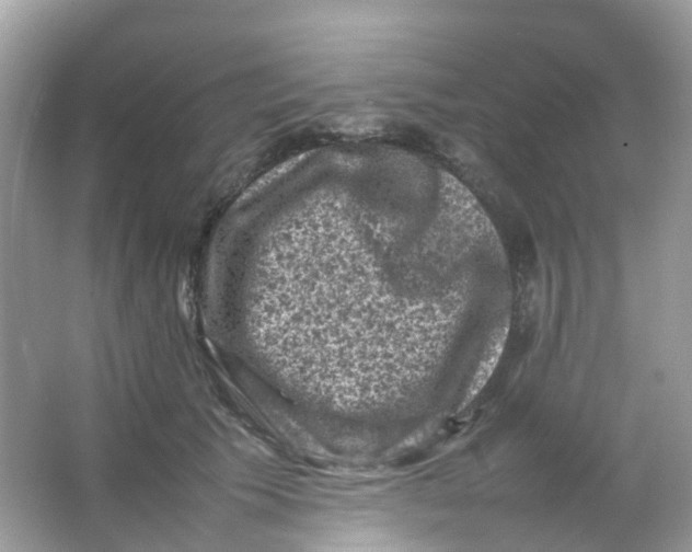 X0000065980609200603241941