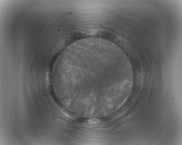 X0000065980612200603241941