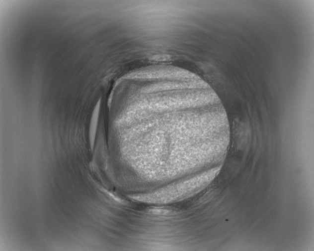 X0000065980614200603241941