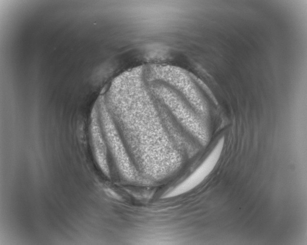 X0000065980619200603241941