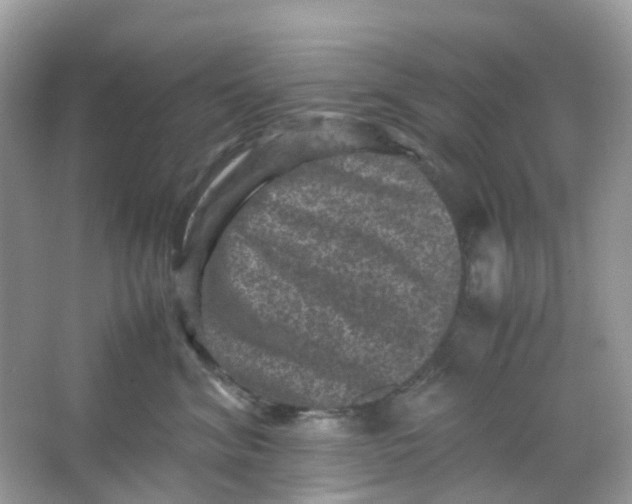 X0000065980620200603241941