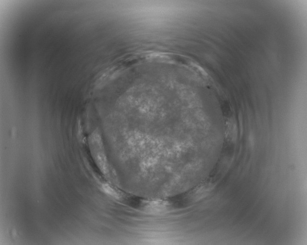 X0000065980621200603241941