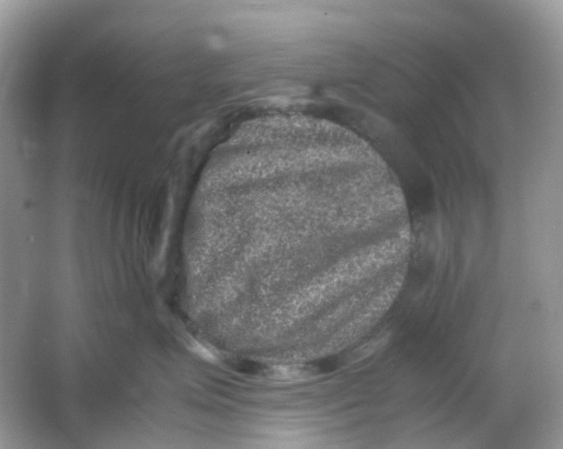 X0000065980623200603241941