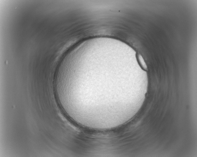 X0000065980625200603241940