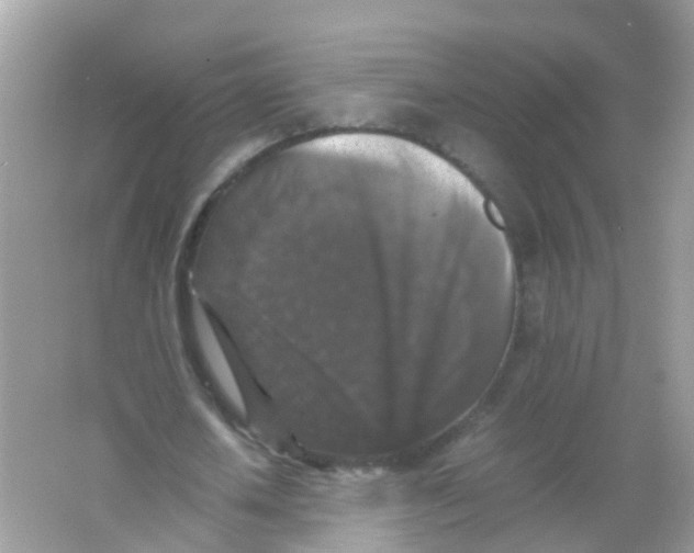 X0000065980626200603241940