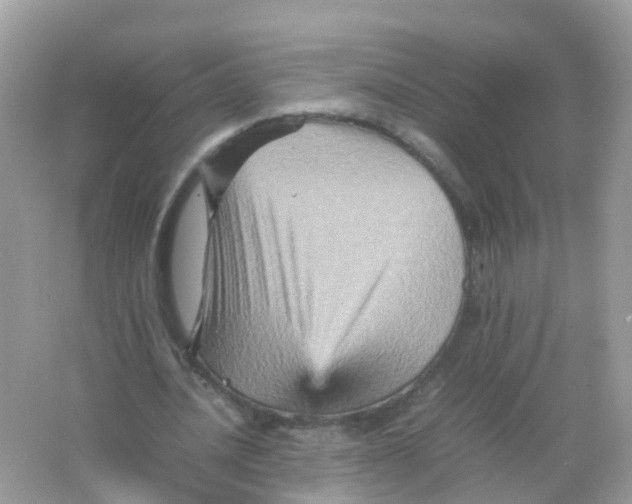 X0000065980628200603241940