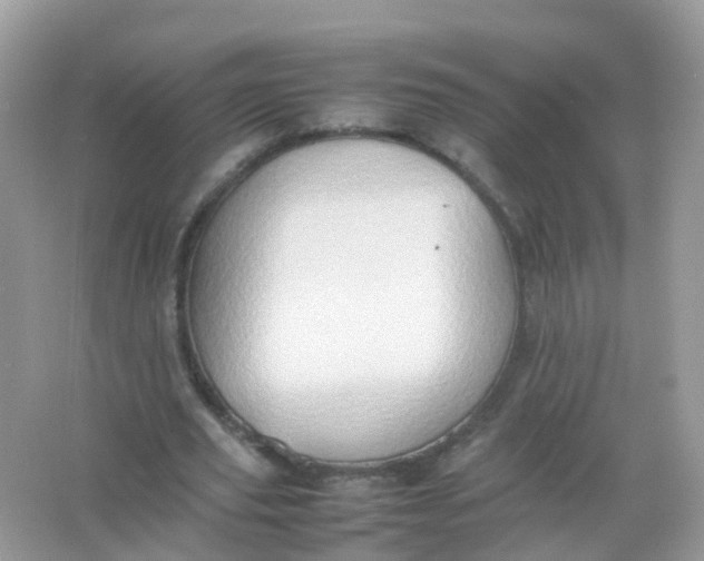 X0000065980629200603241940