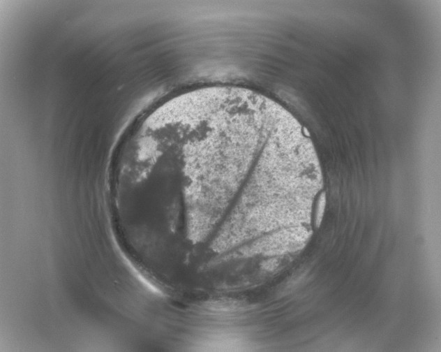 X0000065980630200603241940