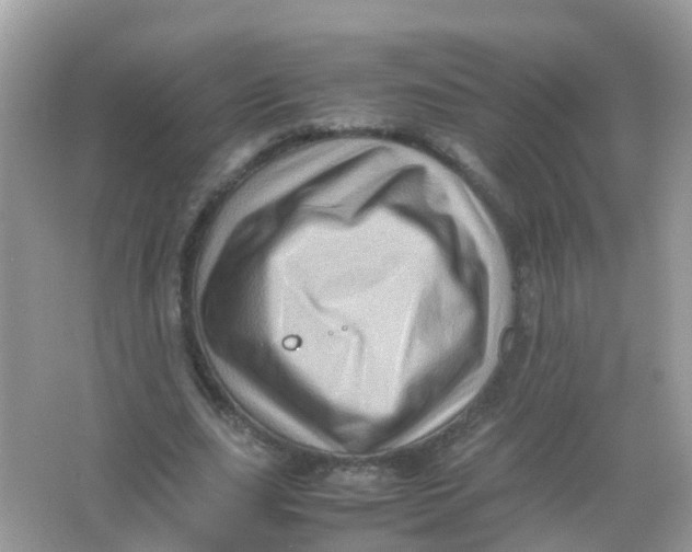 X0000065980631200603241940