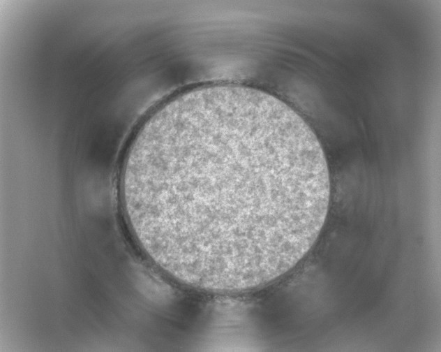 X0000065980632200603241940