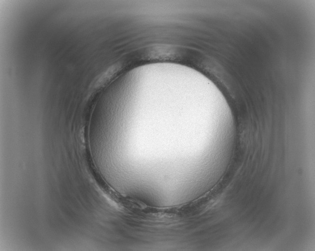 X0000065980633200603241940