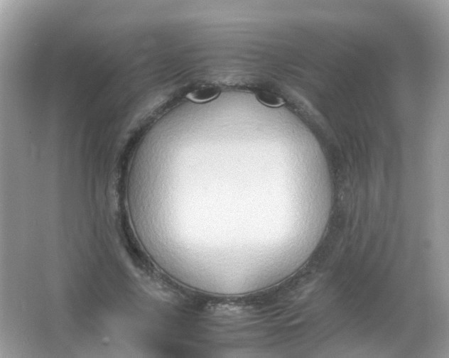 X0000065980635200603241940