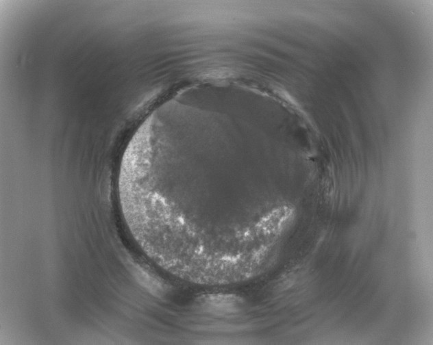 X0000065980637200603241940