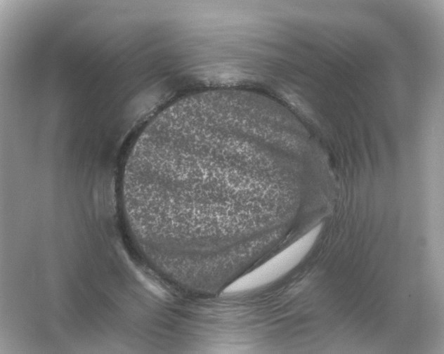 X0000065980638200603241940