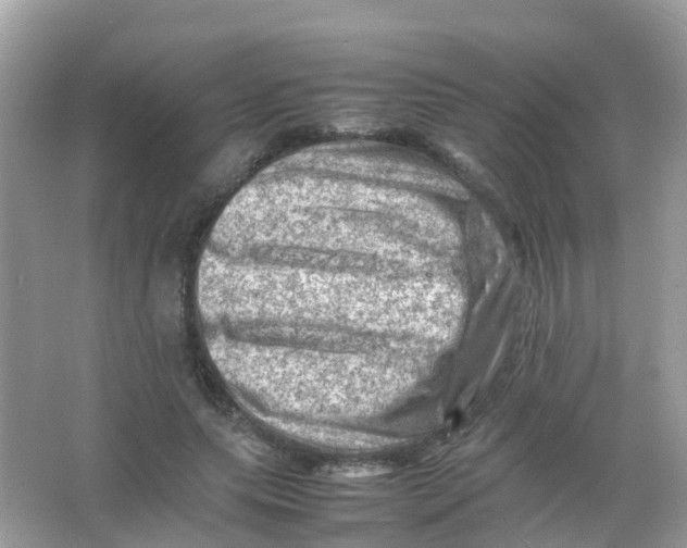 X0000065980639200603241940