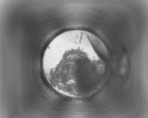 X0000065980640200603241940