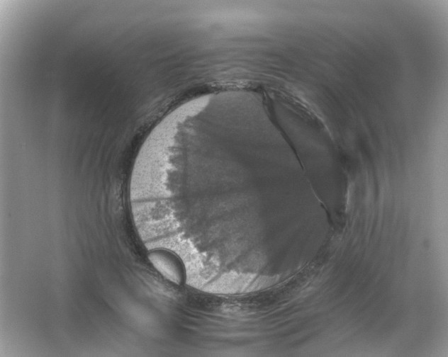 X0000065980641200603241940