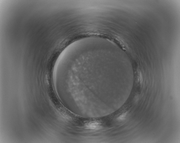 X0000065980643200603241940