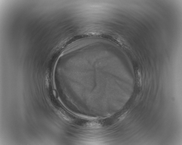 X0000065980644200603241940