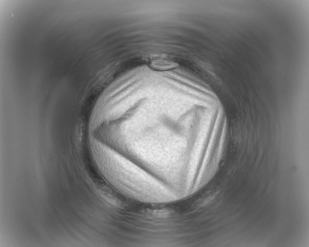 X0000065980645200603241940